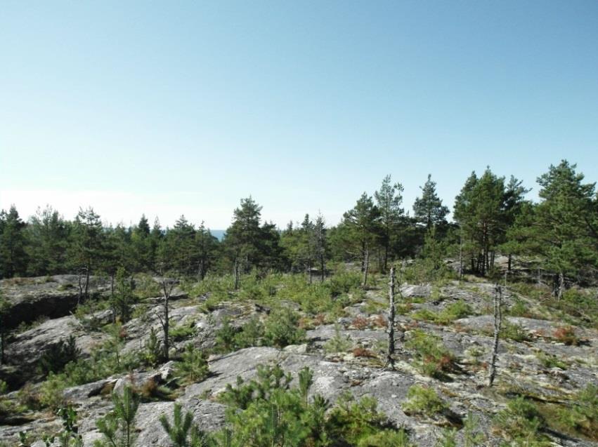 länteen.