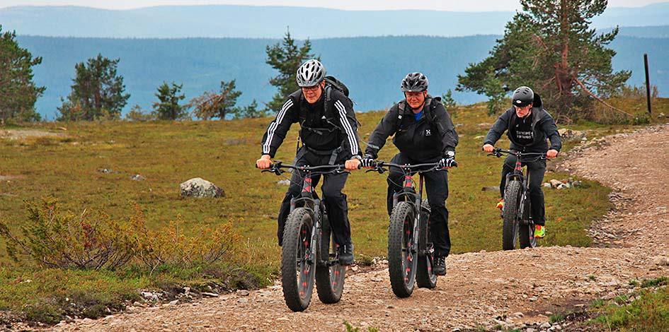 4.1.4 Pyöräilyreitit Maastopyöräilystä on tullut suosittu urheilu- ja ulkoilumuoto.