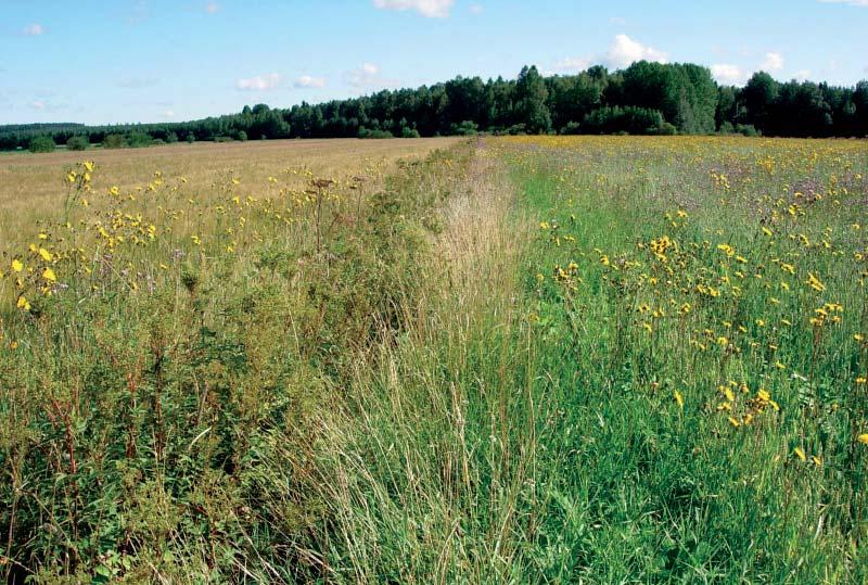 Janne Heliölä Tavanomaisen ja luonnonmukaisesti viljellyn pellon ero on joskus kauempaakin helppo havaita.