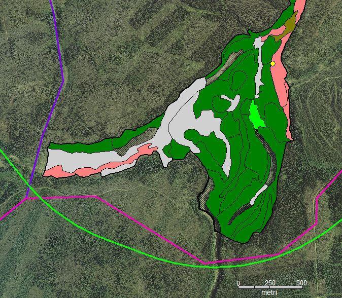 9 Kuva 1. Rautatievaihtoehto Rata-2 (vihreä linja), putkilinjavaihtoehdot Putki-1 (sininen) ja Putki-2 (vaaleanpunainen) sekä Natura-luontotyyppien sijoittuminen Törmäojan Naturaalueen eteläosissa.