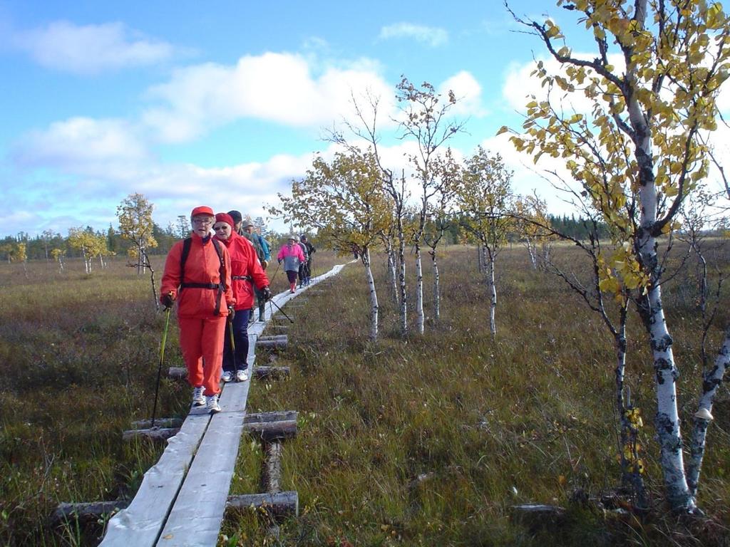 ! YHDESSÄ JA YHTEISTYÖLLÄ KOKO LAPPI VANHUS- JA