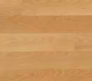 Grey Cumin