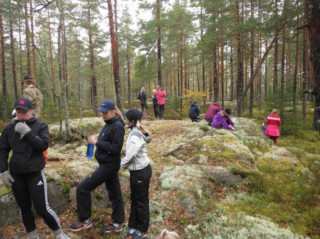 Tuntisuunnitelma: Ravintoketjun osat suomalaismetsässä Tehtävässä tutkitaan metsän ekosysteemiä soveltamalla aiemmin opittuja ravintoketjun käsitteitä.