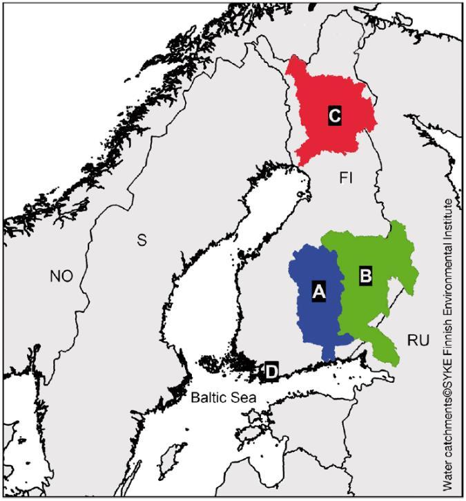 Infectious pancreatic necrosis IPN Tarttuva haimakuoliotauti Tauti pysyi vuosikymmeniä merialueella, mutta 2012 genotyypin