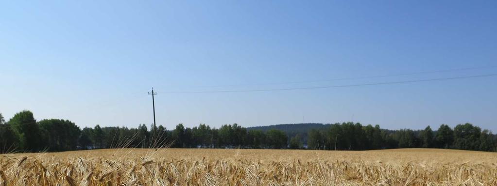 MAASEUTUPOLKU Hämeenlinnan torilla 17.6.