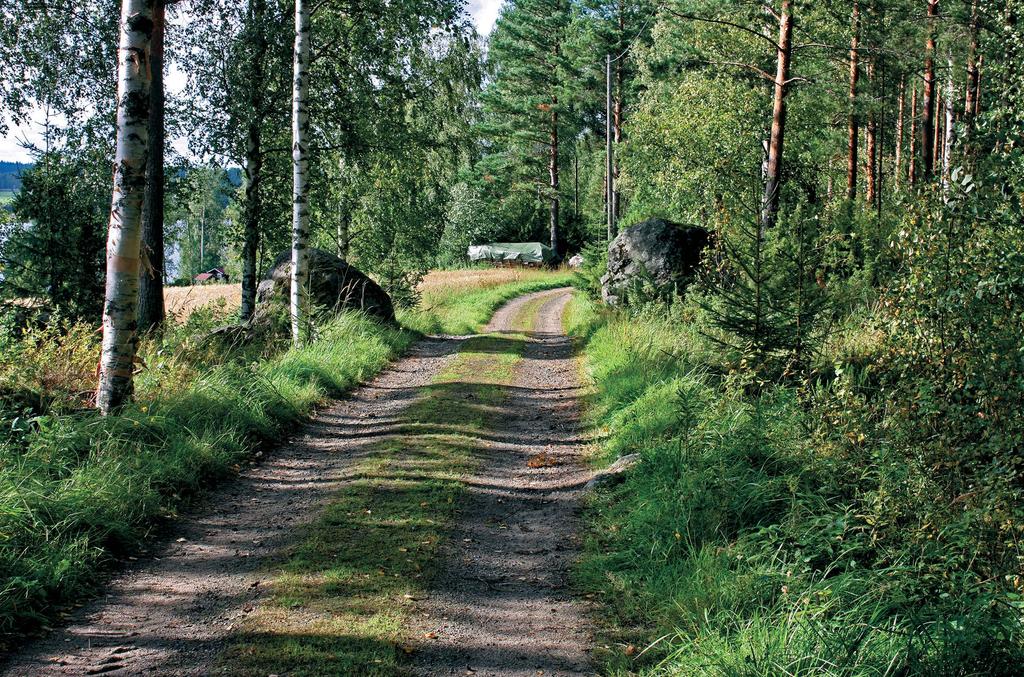 Isonvihan kerrostumia 189 Kuva 2. Tulliportti Kuortaneen Mäyryssä. Kuva: Sulevi Riukulehto.