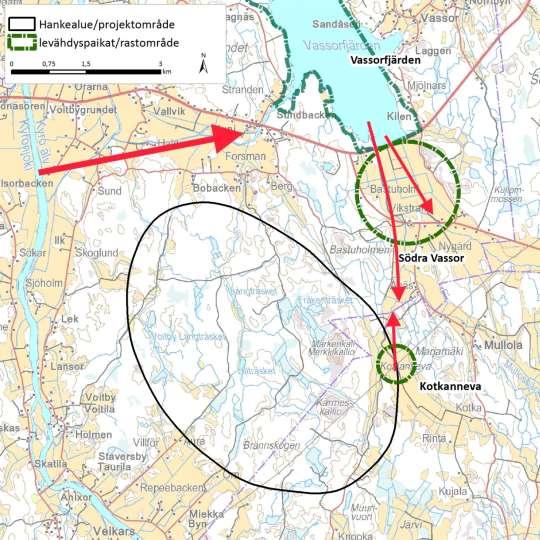 satoja yksilöitä (Jynx 2014b). Myös Kotkannevan peltoalue hankealueen itäreunalla kerää muuttoaikoina jonkin verran kurkia, joutsenia ja hanhia sekä kahlaajia ja varpuslintuja.