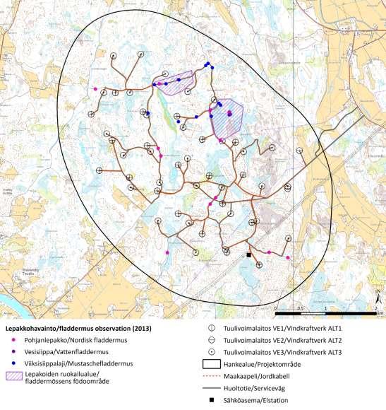 Kuva 10.16. Lepakkohavainnot ja lepakoiden arvokkaat ruokailualueet Merkkikallion hankealueella (Jynx 2013).