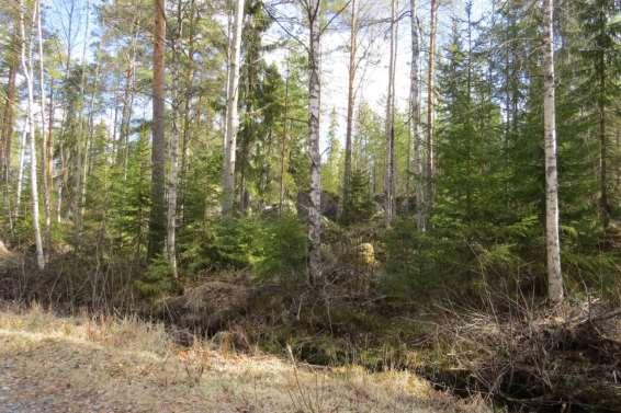 5 HANKKEEN TEKNINEN KUVAUS 5.1 Hankealueen yleiskuvaus Merkkikallion tuulivoimapuiston hankealue sijaitsee Vaasan kaupungin ja Mustasaaren kunnan rajalla.