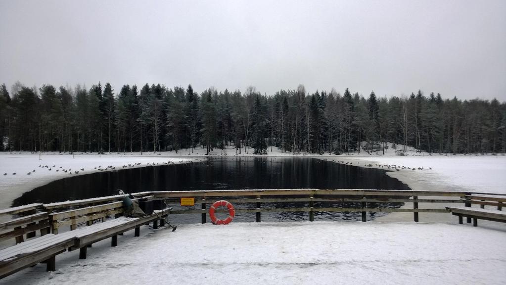 Ahvenisjärven