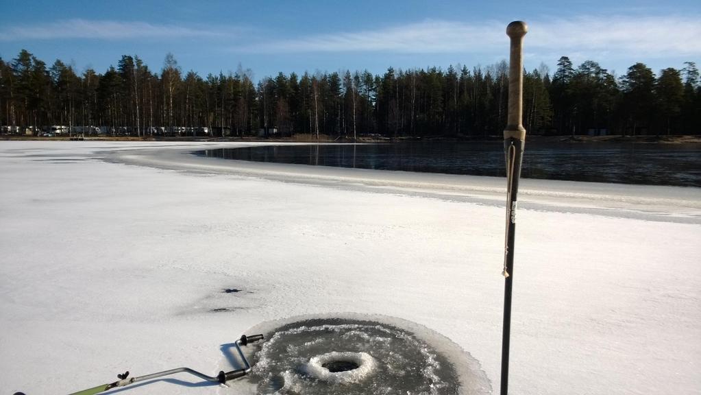 Kokemäen