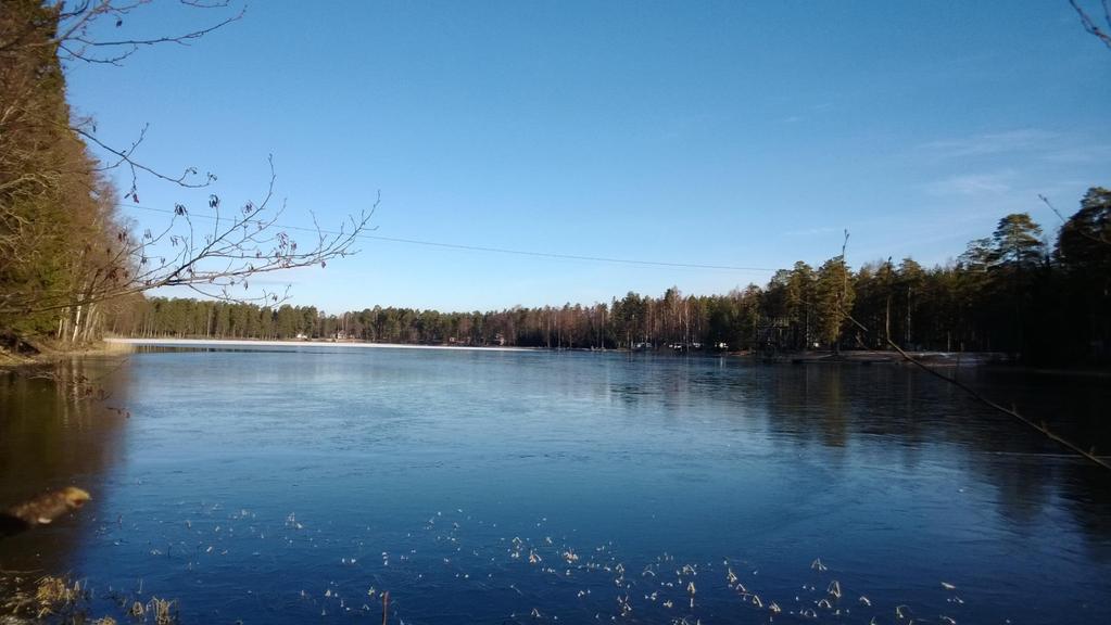 Kokemäen