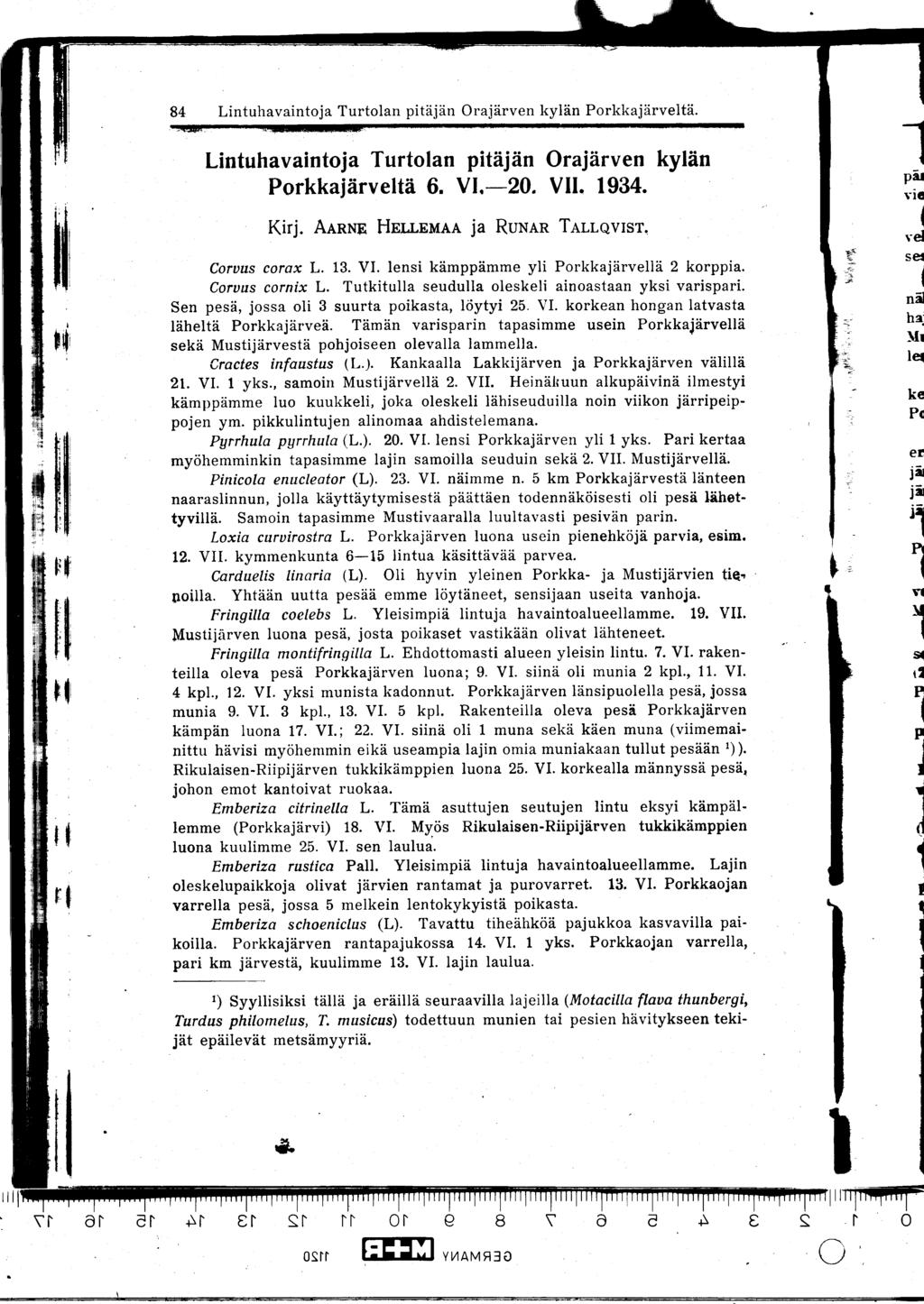 84 Lintuhavaintoja Turtolan pitäjän Orajärven kylän Porkkajärveltä Lintuhavaintoja Turtolan pitäjän Orajärven kylän Porkkajärveltä 6 VI-20 VII 1934 Klrj AARNE HELLEMAA ja RUNAR TALLQVIST Corvus corax