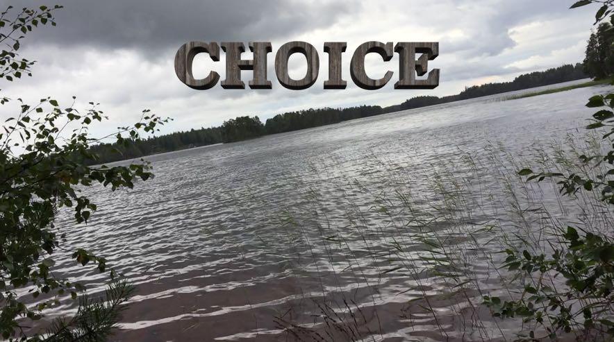 Liite 1 1 (1) CHOICE -elokuva Web -linkki elokuvan