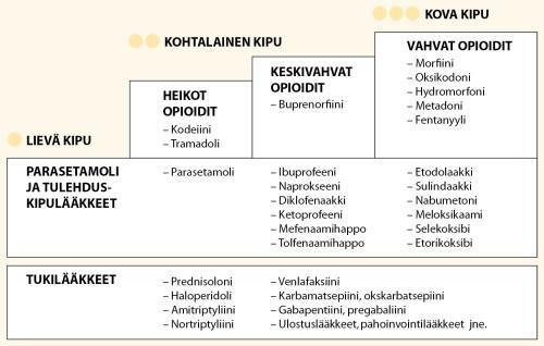 25 (39) Kuvio 1. Porrastettu kivunhoitomalli lääkkeitä käytettäessä. (Käypähoito, 2013.) 3.