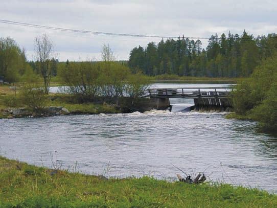 Vesien ekologisen tilan kannalta useimmiten paras tapa vapaan liikkumisen turvaamiseen olisi poistaa vaelluseste vesistöstä.