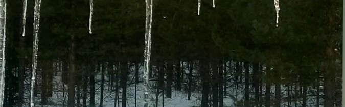 Erityisasiantuntija CEMIS /