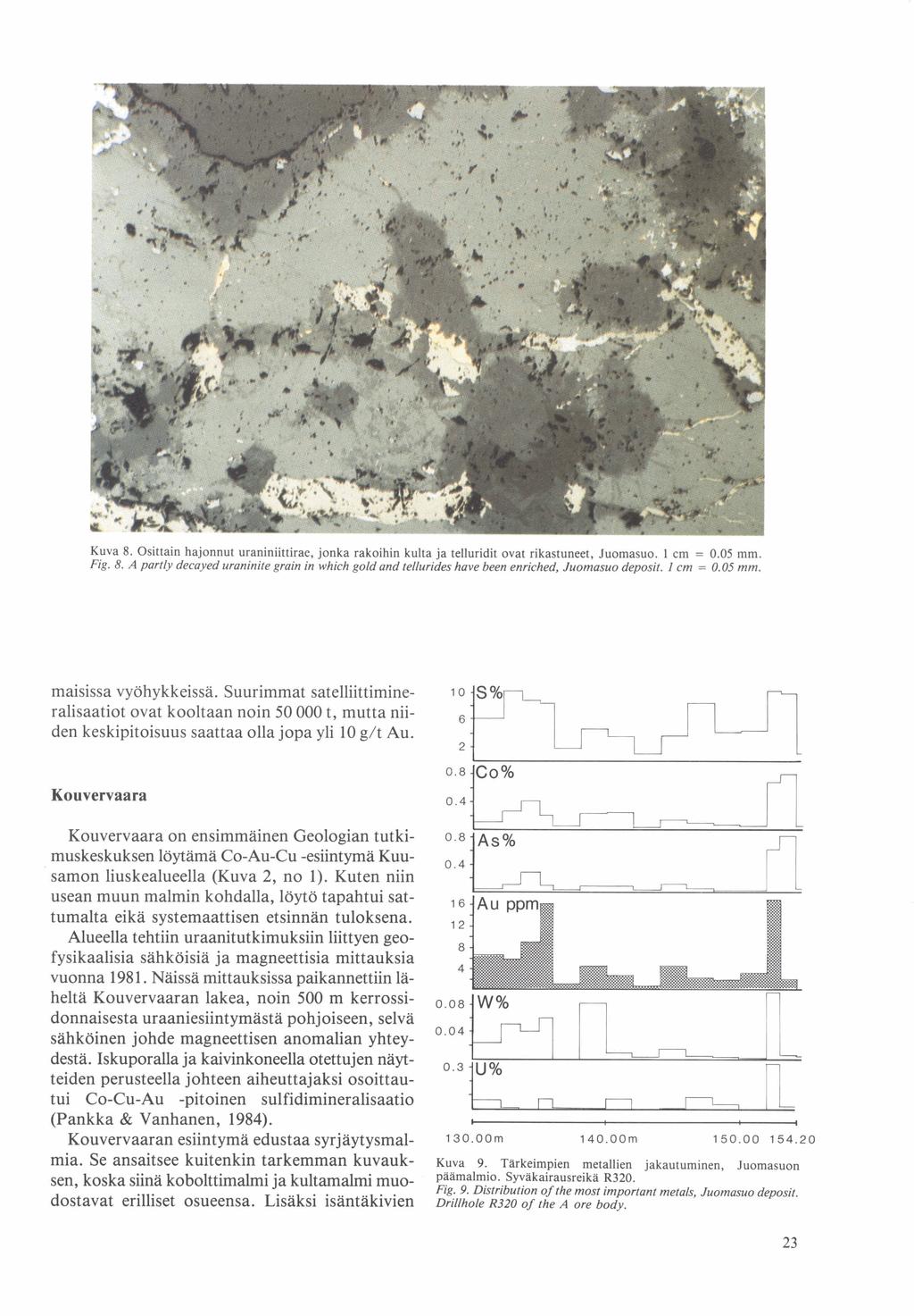 Kuva 8. Osittain hajonnut urankiittirae, jonka rakoihin kulta ja teiiuridit ovat rikastuneet, Juomasuo. 1 cm = 0.05 mm. Fig. 8. A partly decayed uraninite grain in which gold and tellurides have been enriched, Juomasuo deposit.