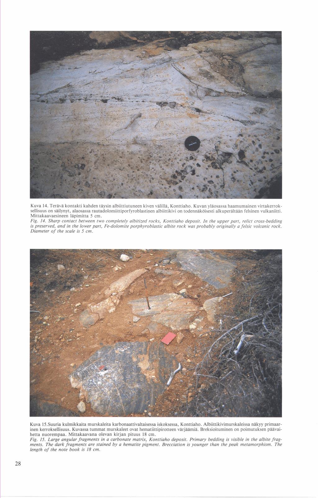 Kuva 14. Teräva kontakti kahden täysin albiittiutuneen kiven valilla, Konttiaho.