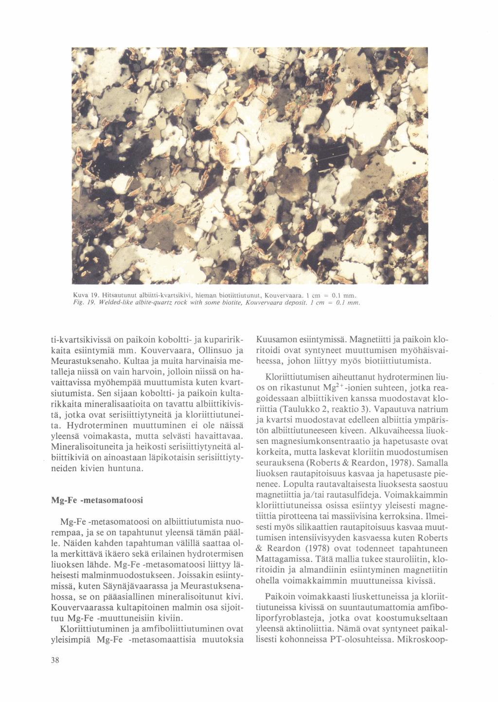 Kuva 19. Hitsautunut albiitti-kvartsikivi, hieman biotiittiutunut, Kouvervaara. 1 cm = 0.1 mm. Fig. 19. Welded-like albite-quartz rock with some biotite, Kouvervaara deposit. 1 cm = 0.1 mm. ti-kvartsikivissä on paikoin koboltti- ja kuparirikkaita esiintymiä mm.