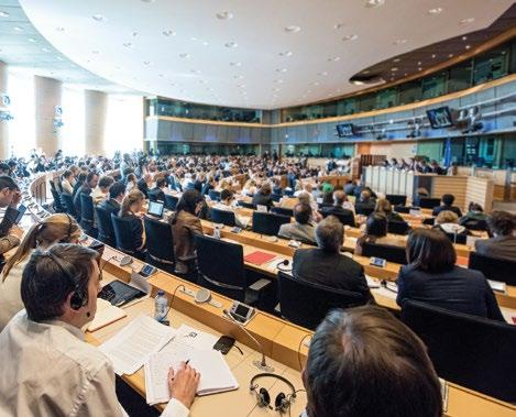Valiokunta nimittää jokaista käsiteltävää asiaa varten jäsentensä keskuudesta esittelijän johtamaan päätöksentekoprosessia, jonka päätteeksi hyväksytään parlamentin kanta asiaan.