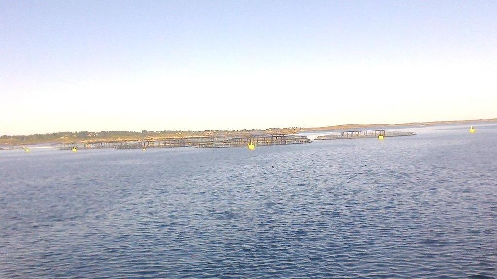 Kuva 87. Norjalainen kalankasvattamo (Kuva: Offshore Fish Finland Oy).