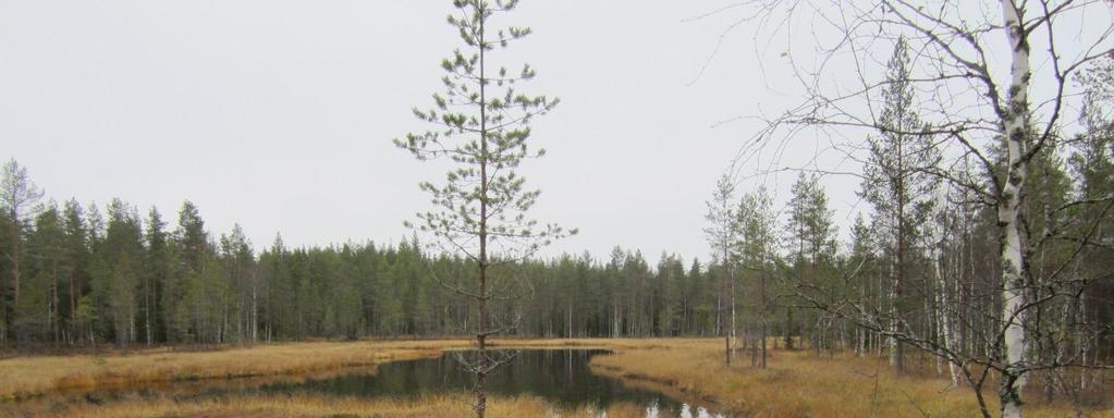 Metsähallituksen päätöksellä suojellut kohteet Pohjalammi