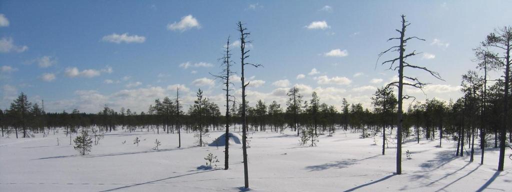 Kansallispuistot Seitseminen, Länsi-Aure Pinta-ala: 4 521 ha (Ylöjärven puolella 3 480 ha, osin Ikaalisten puolella)