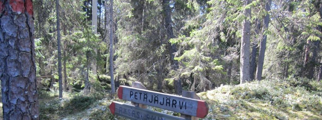 Valtion maille perustetut luonnonsuojelualueet Petäjäjärvi, Kaidankylä Pinta-ala: 254
