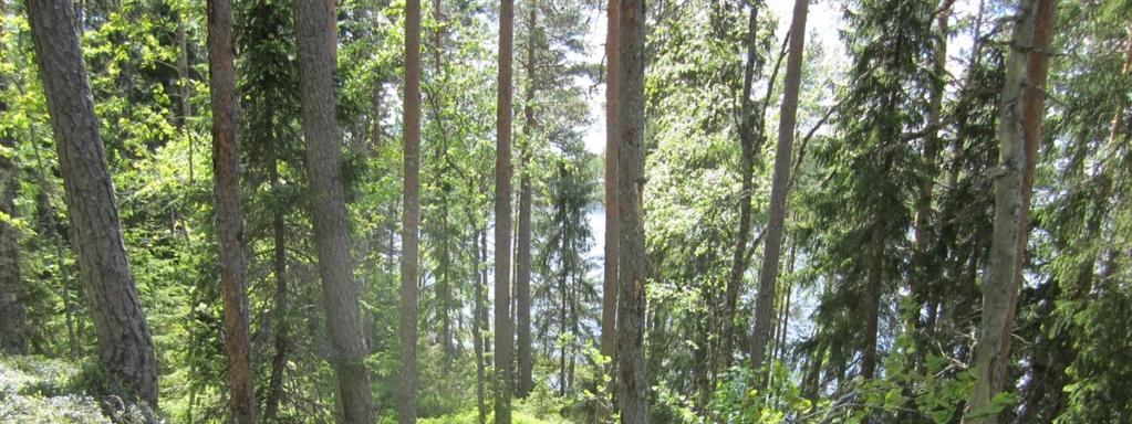 Valtion maille perustetut luonnonsuojelualueet Raattaniemi-Vekaraniemi, Länsi-Aure