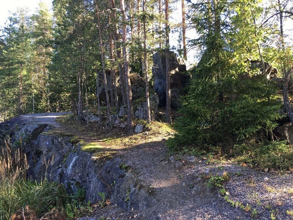 Muista luontoarvoista selvitysalueella on kaksi ei luonnontilaista avainbiotoopiksi luokiteltavaa kohdetta: rehevä korpi ja siirtolohkareikko.