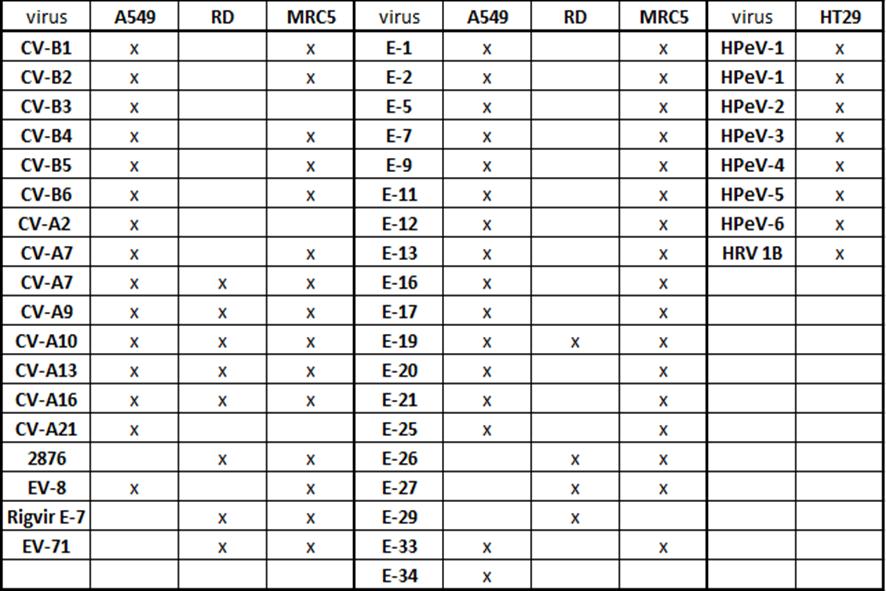 21 Taulukko 4 Virustitrauksen tulokset 4.
