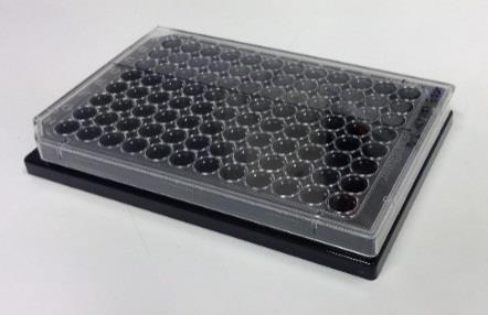 Vasta-ainetestauksiin käytettiin Perkin-Elmer Vision 96-kuoppalevyjä (Kuva 10). Kuva 10 Perkin-Elmer Vision Plate 96.