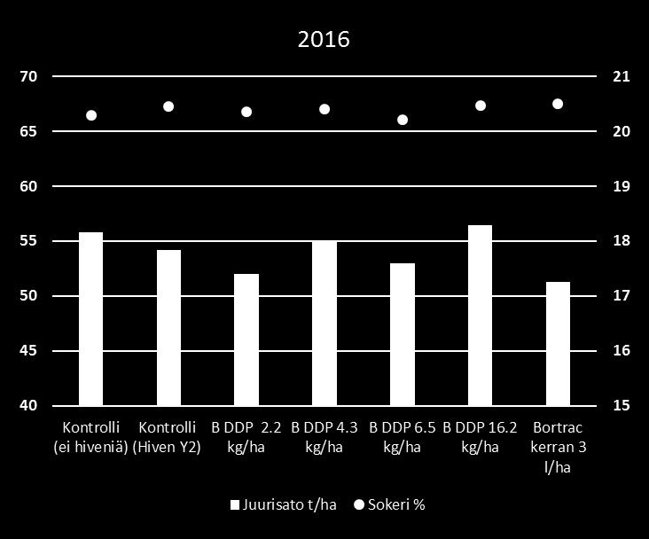Satotuloksia 2016 Jurisato Sokerisato kg/ha Sokeri % kg/ha Amino-N K Na Kontrolli (ei hiveniä) 55789 20.3 11278 8.2 4.34 0.17 Kontrolli (Hiven Y2) 54211 20.5 11087 10.4 4.23 0.19 B DDP 2.