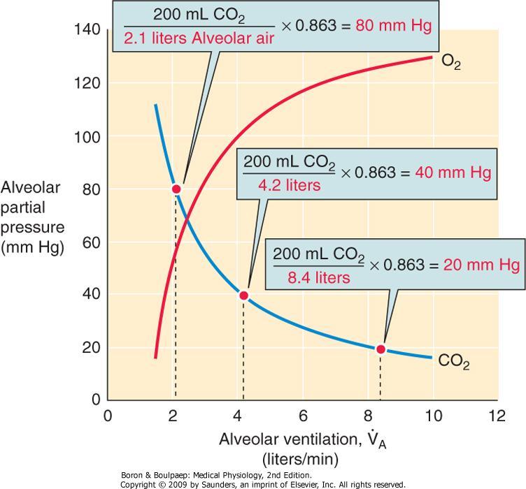 Alveolin hiilidioksi- ja happipitoisuuden