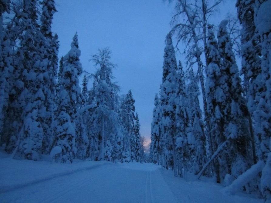 päiväsairaanhoito ja