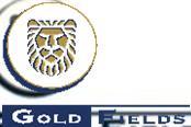 Gold Fields Limited Nykyinen toimintakenttä FINLAND Arctic Platinum Project Vancouver Denver MALI Yanfolila Beijing PERU Cerro Corona Chucapaca Lima GHANA Tarkwa Damang