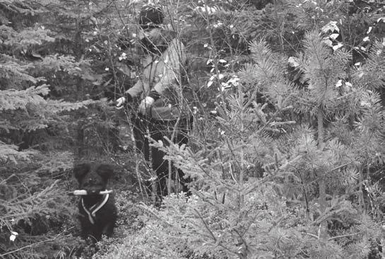 jälkeä. Maaston muututtua vaikeaksi ja pusikkoiseksi, se jäi pohtimaan mitä pitäisi tehdä ja kannustuksella se jatkoi sitten matkaa.