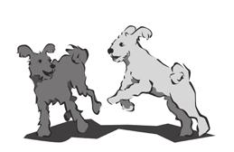 www.touhonvalinta.fi PUMIEN AGILITY MESTARUUSKILPAILUT Pumien agilitymestaruuskilpailut pidetään Kokkolassa 15.