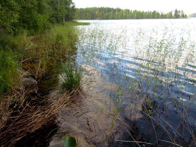 7 4. Kangaslahdet (Kuivinsaarenselkä) (LIITTEET, Kartta 3.) Kangaslahtien suunnittelualue sijoittuu Kangassaaren eteläpuolelle, Kuivinsaarenselän länsirannalle lähelle paikallistietä.