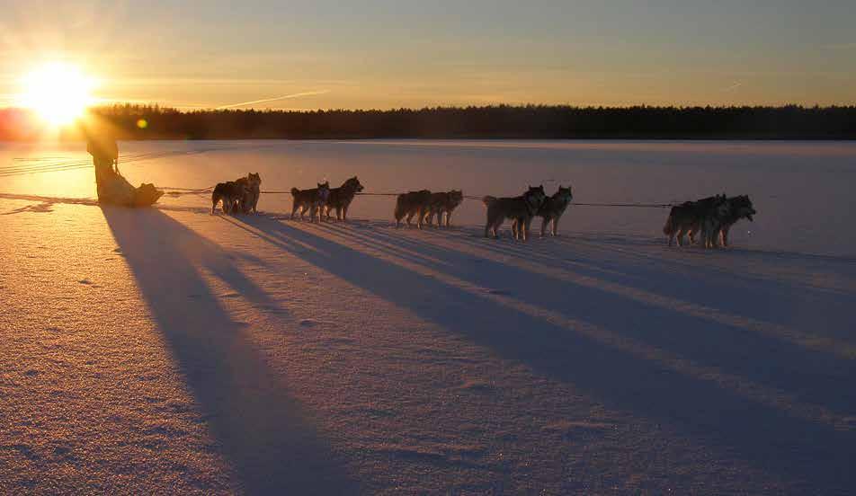 Turismiuudised 12 2014-01 2015 Hea uudiskirja lugeja! Käesolevas uudiskirjas toome Sinuni selle aasta viimased turismiuudised SA Lõuna-Eesti Turismilt ja Lõuna-Eesti maakondadelt.