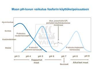 Fosfori Maaperän ph vaikuttaa fosforin saatavuuteen Alhaisessa ph:ssa fosfori