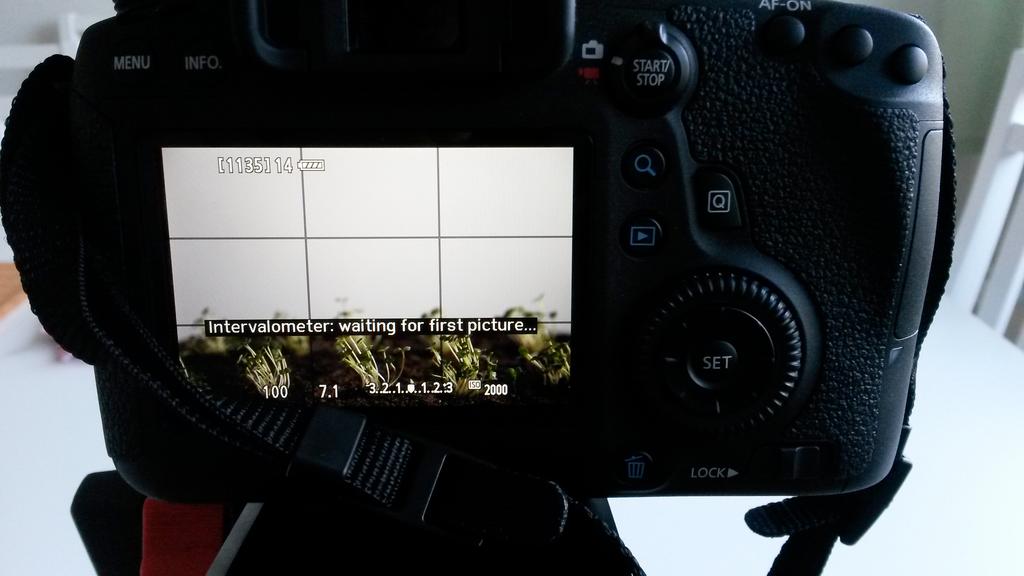36 M, f/7.1, 1/100, ISO2000 Intervalli 1 tunti Objektiivin polttoväli 105mm Kuva 4. Rucolan kuvauksen aloittaminen Canon 6D:llä.