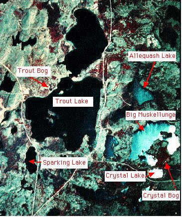 Mitä on ajallinen koherenssi? - the degree to which different locations (e.g. lakes) behave similarly, or dissimilarly, through time (Magnuson & Kratz 2000) LTER-projekti, prof. John J.