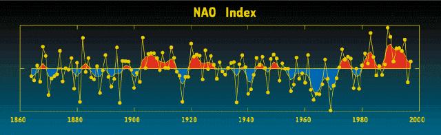 epävakaita leutojen, sateisten talvien aikana (NAO index > 1) laajan mittakaavan ympäristövaihtelu voi peittää alleen pitkän