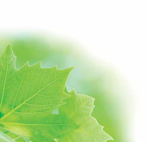 UPM:n osuuden Kaukaan Voiman päästöistä aikakauslehtipaperia sellua - havu - koivu puu, keitto- ja valkaisukemikaalit, täyte- ja päällystyspigmentit, paperinvalmistuspigmentit Biopolttoaineet