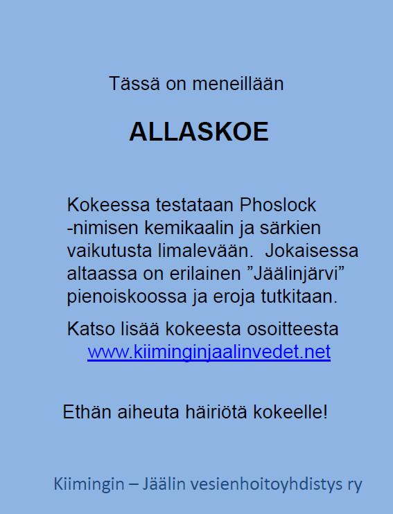 Mikä allaskoe?