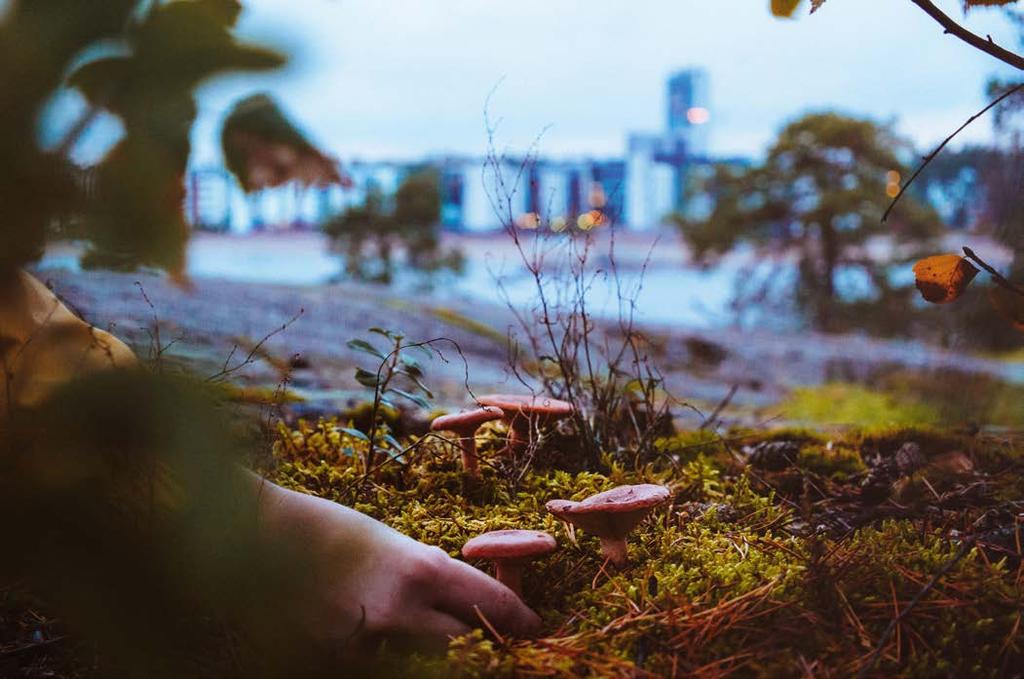 ten kuten ikääntyneiden mahdollisuuksiin elää kokemusrikasta elämää. Ikääntyneiden palveluja kehitetään kokonaisuutena varhaisesta tuesta elämän loppuvaiheeseen asti.