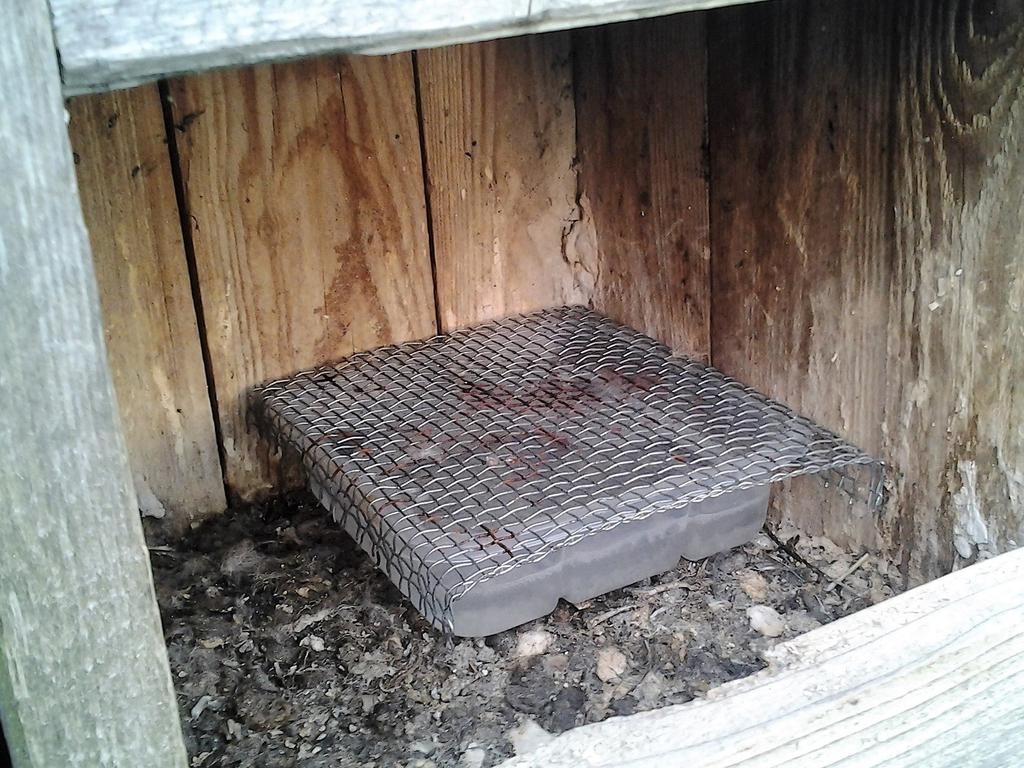 10 Sahlbergia 23.1 (2017), 9-13 Kuva 1. Tutkimuksessa käytetty pyydys tuulihaukanpöntössä. Fig 1. The trap in a kestrel nest box. The size of the trap is 16 cm x 14,5 cm x 4,5 cm.