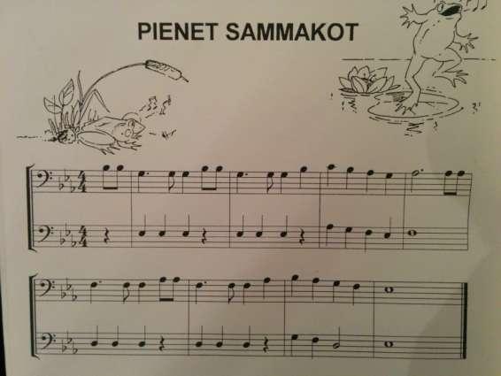 16 olevaa ja tunnettua musiikkia, eikä kirja siksi keskity painottamaan teknisesti tärkeitä asioita.